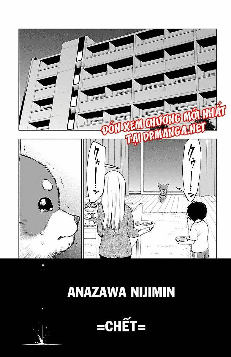 Chapter 41