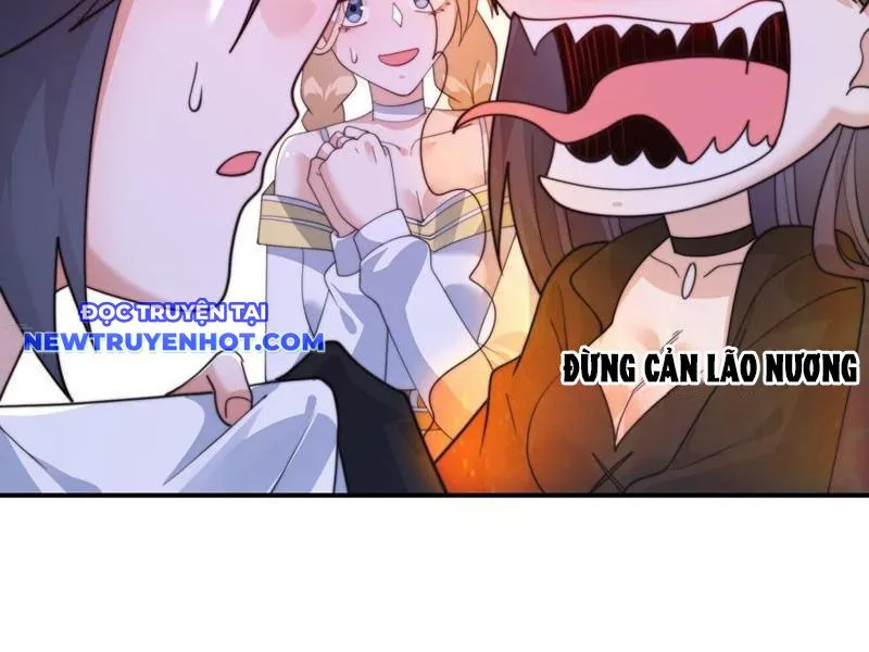 Chapter 217