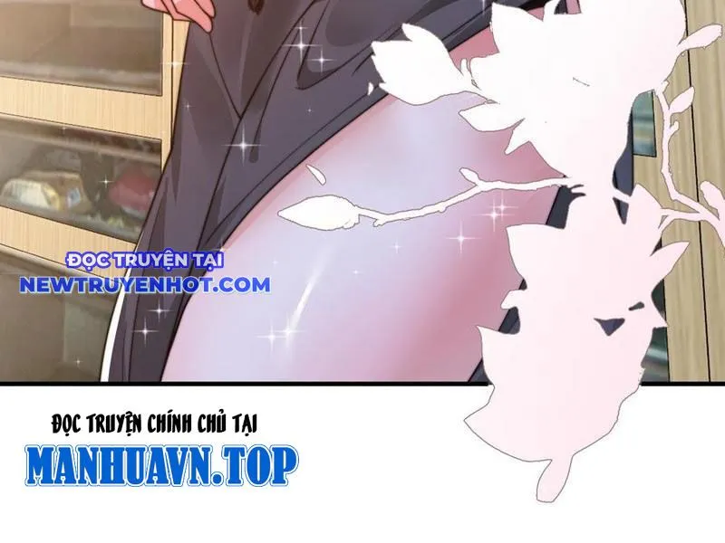 Chapter 217