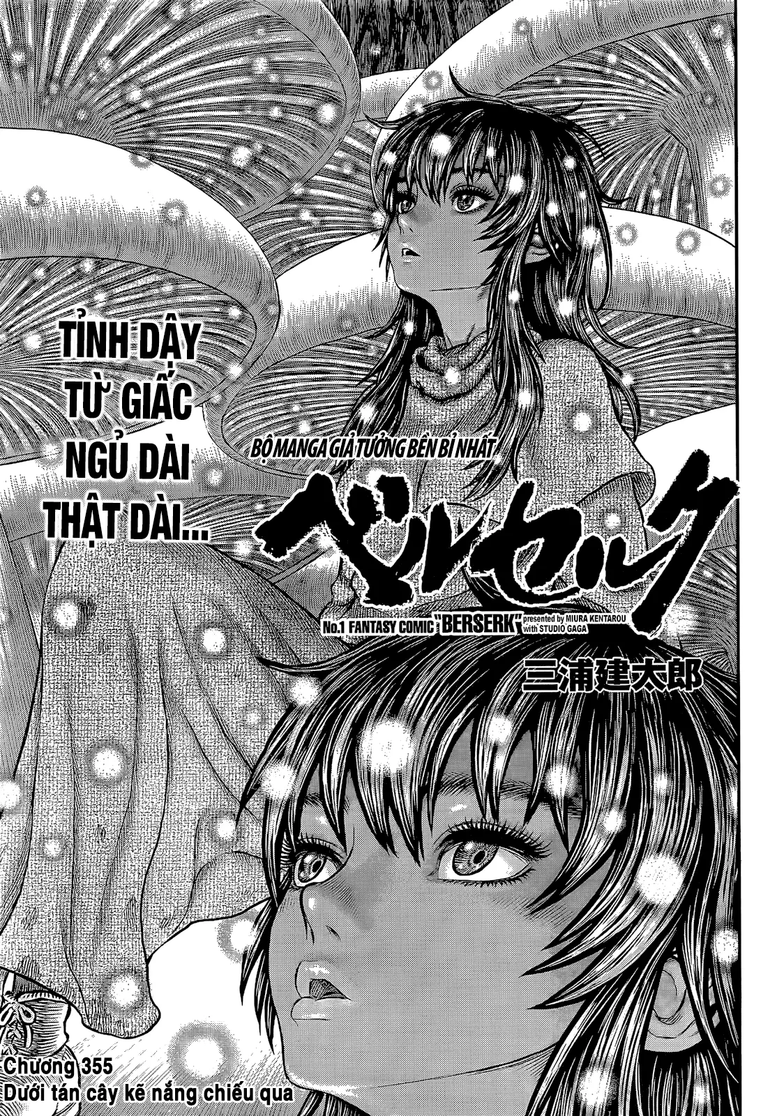 Chapter 355