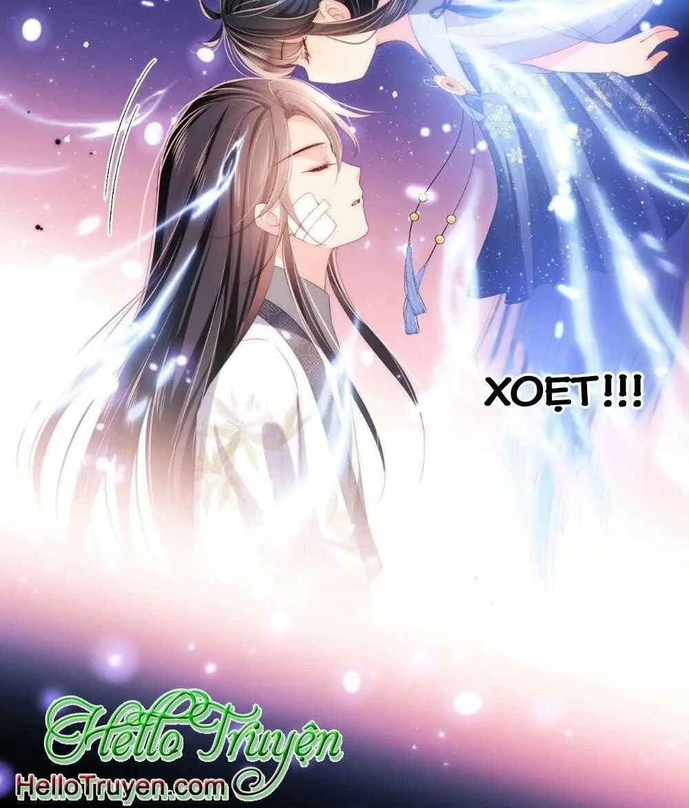 Chapter 219