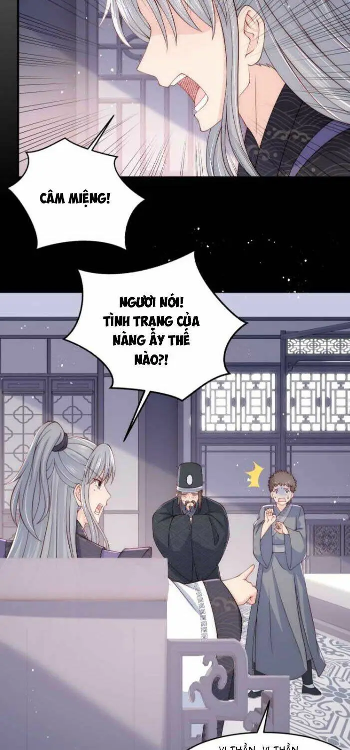 Chapter 95