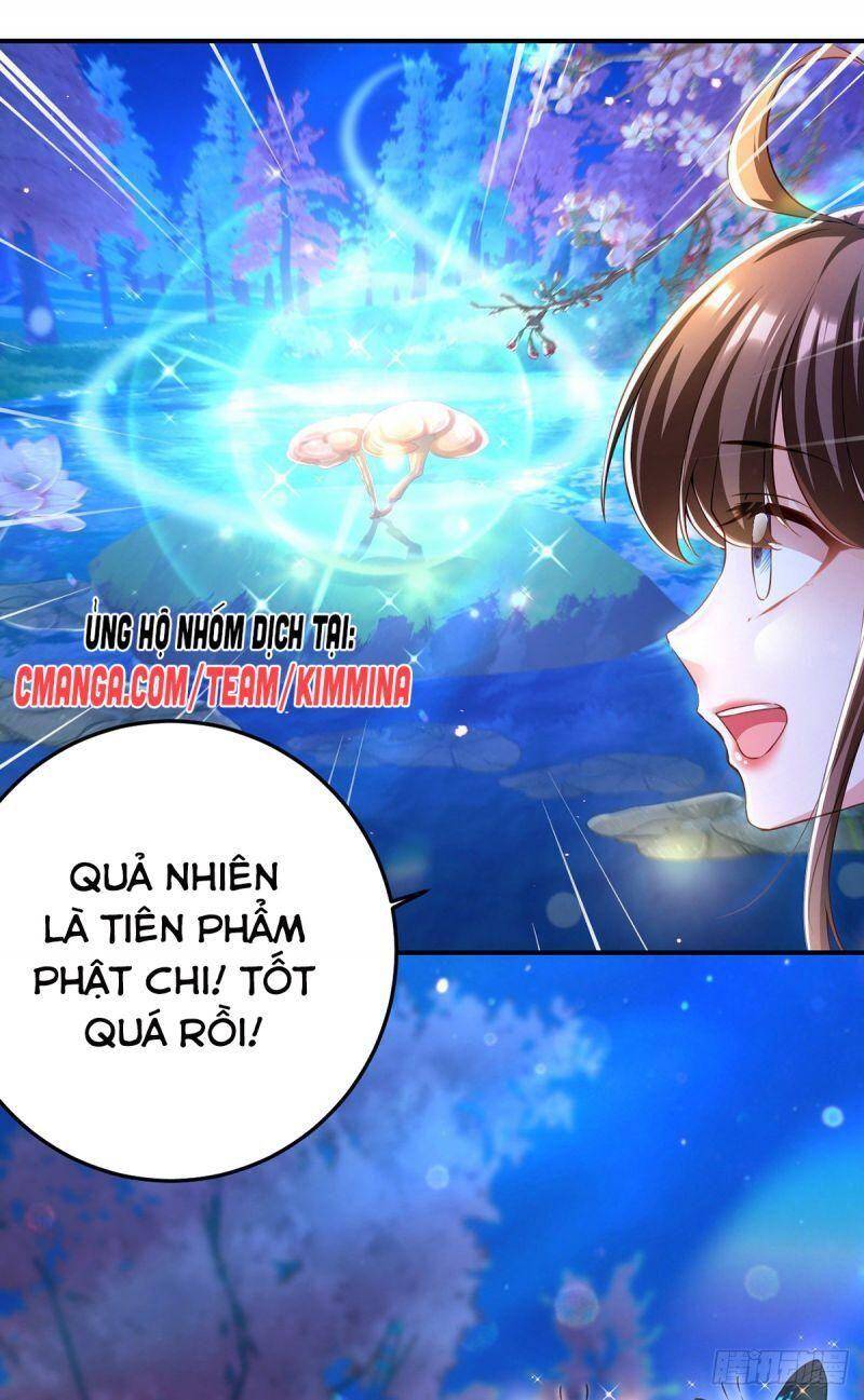 Chapter 49