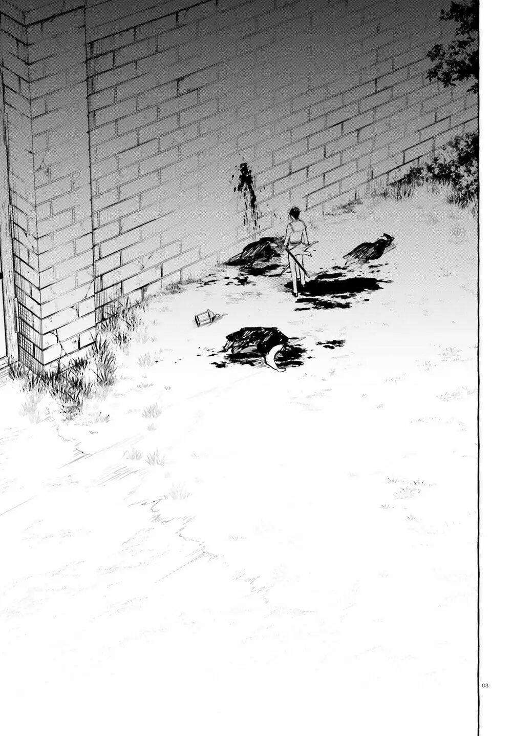 Chapter 11
