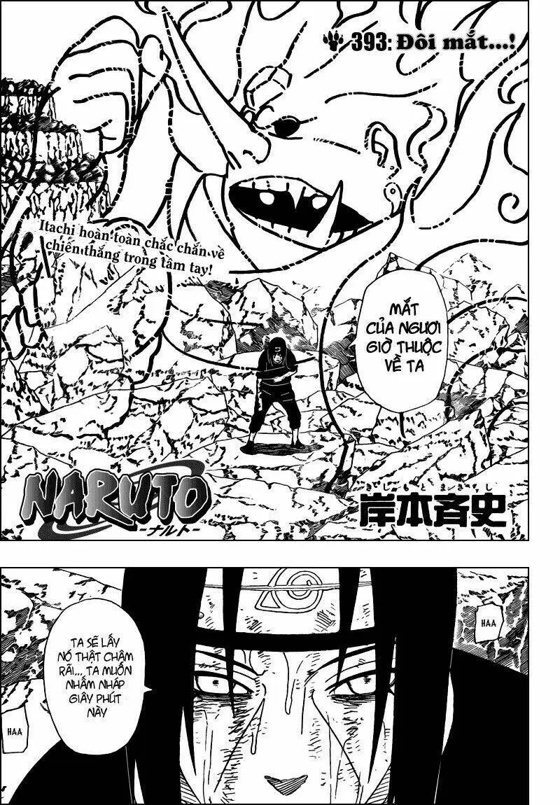 Chapter 393