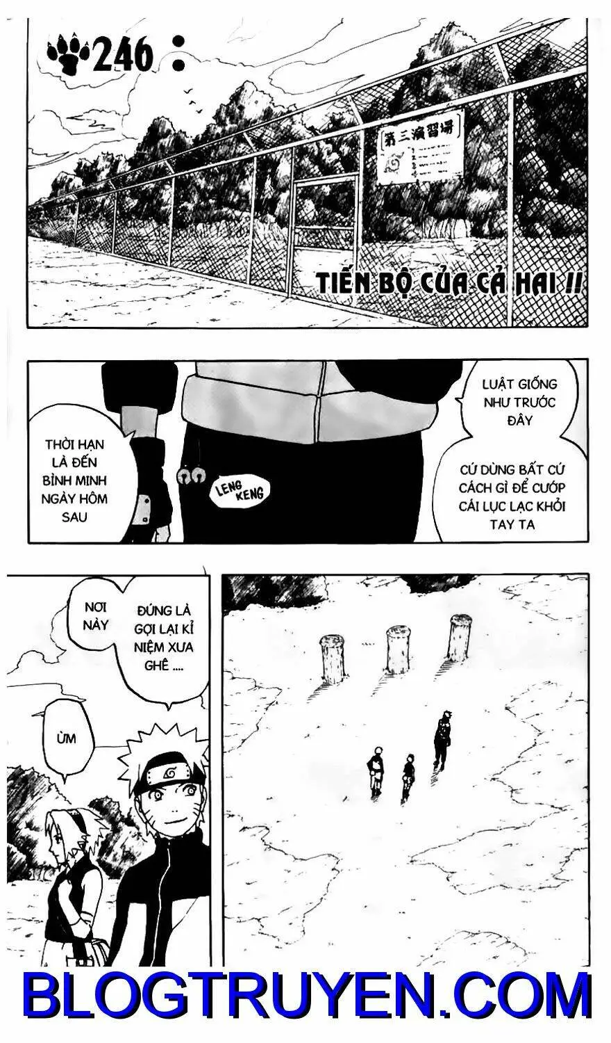 Chapter 246