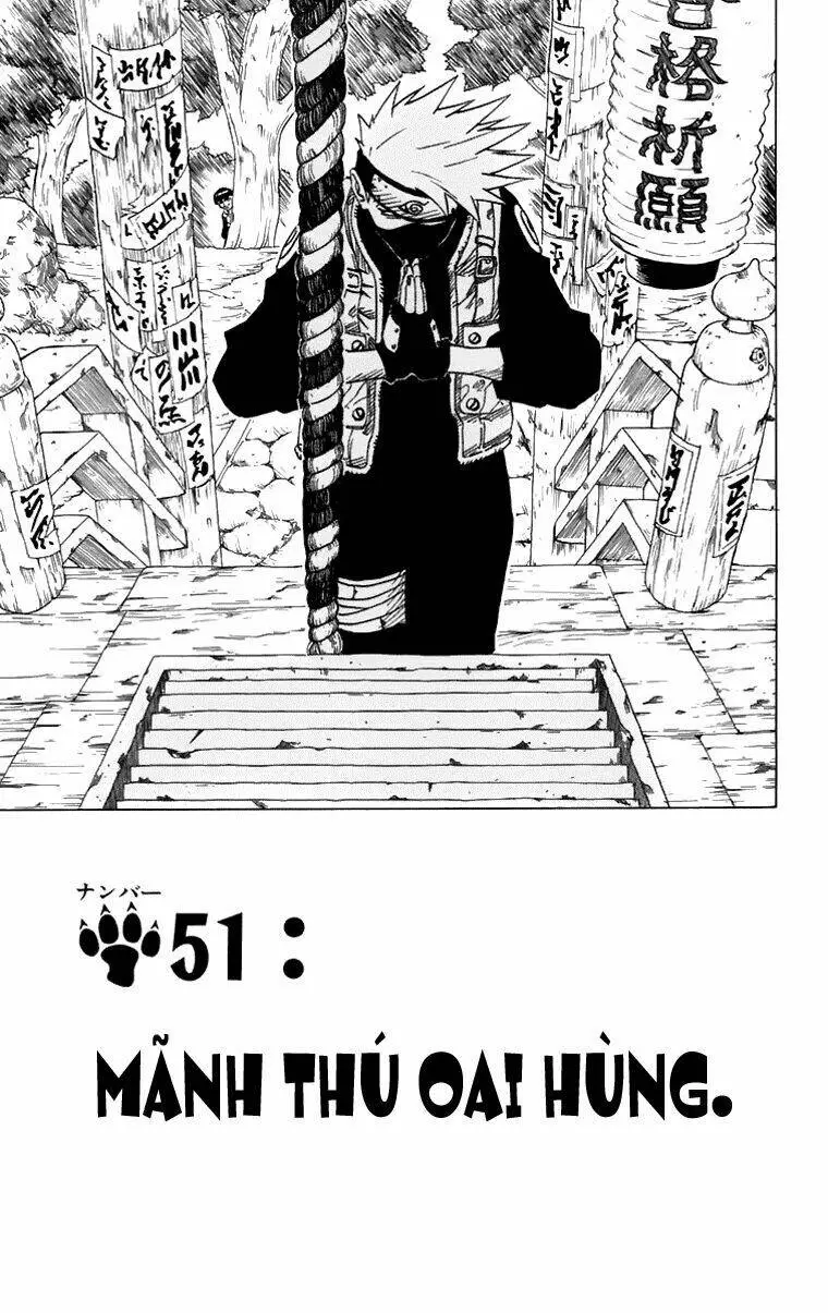 Chapter 51