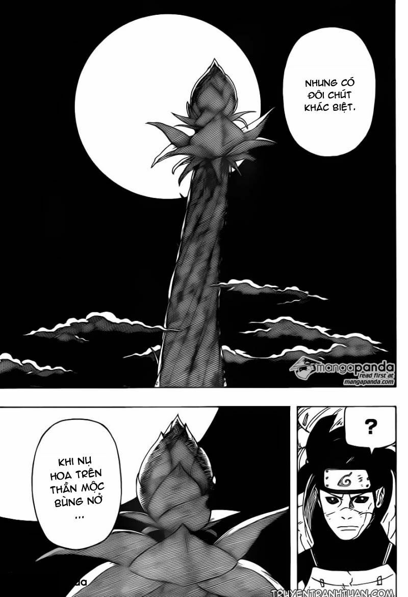 Chapter 646