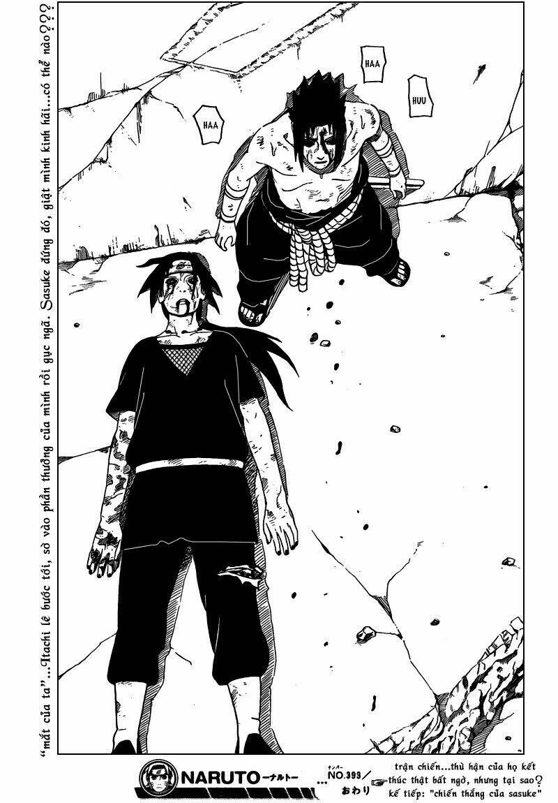 Chapter 393