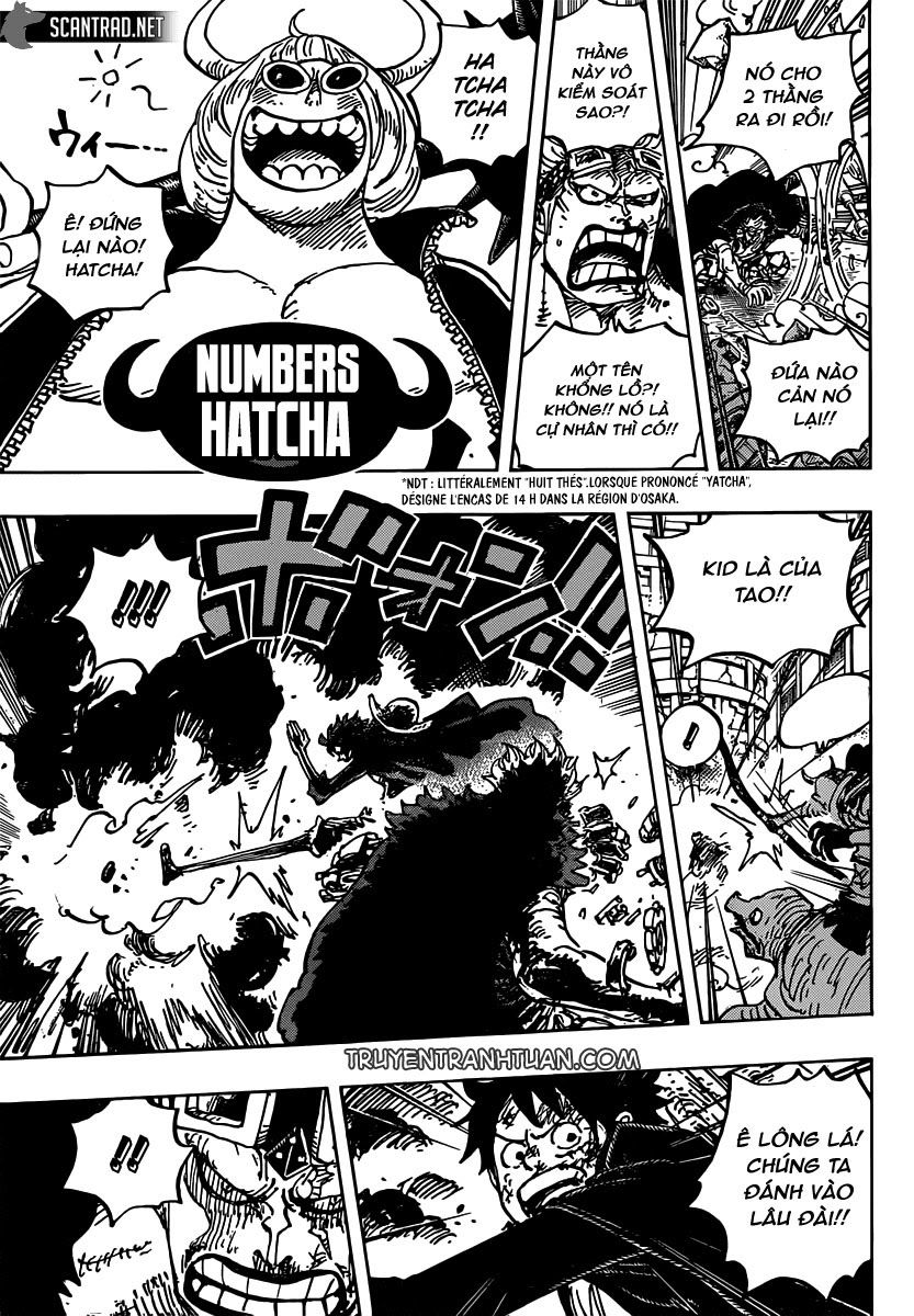 Chapter 981