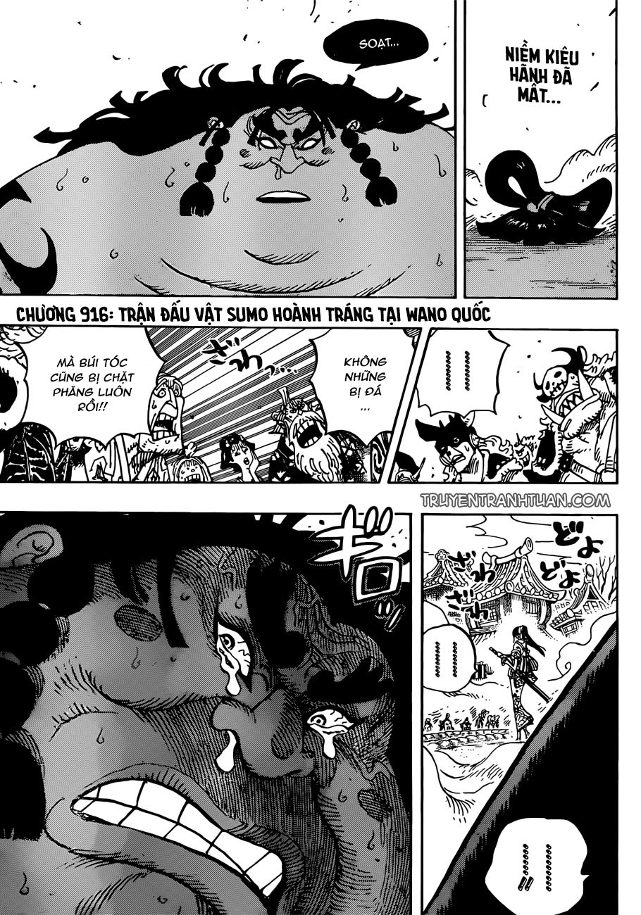 Chapter 916