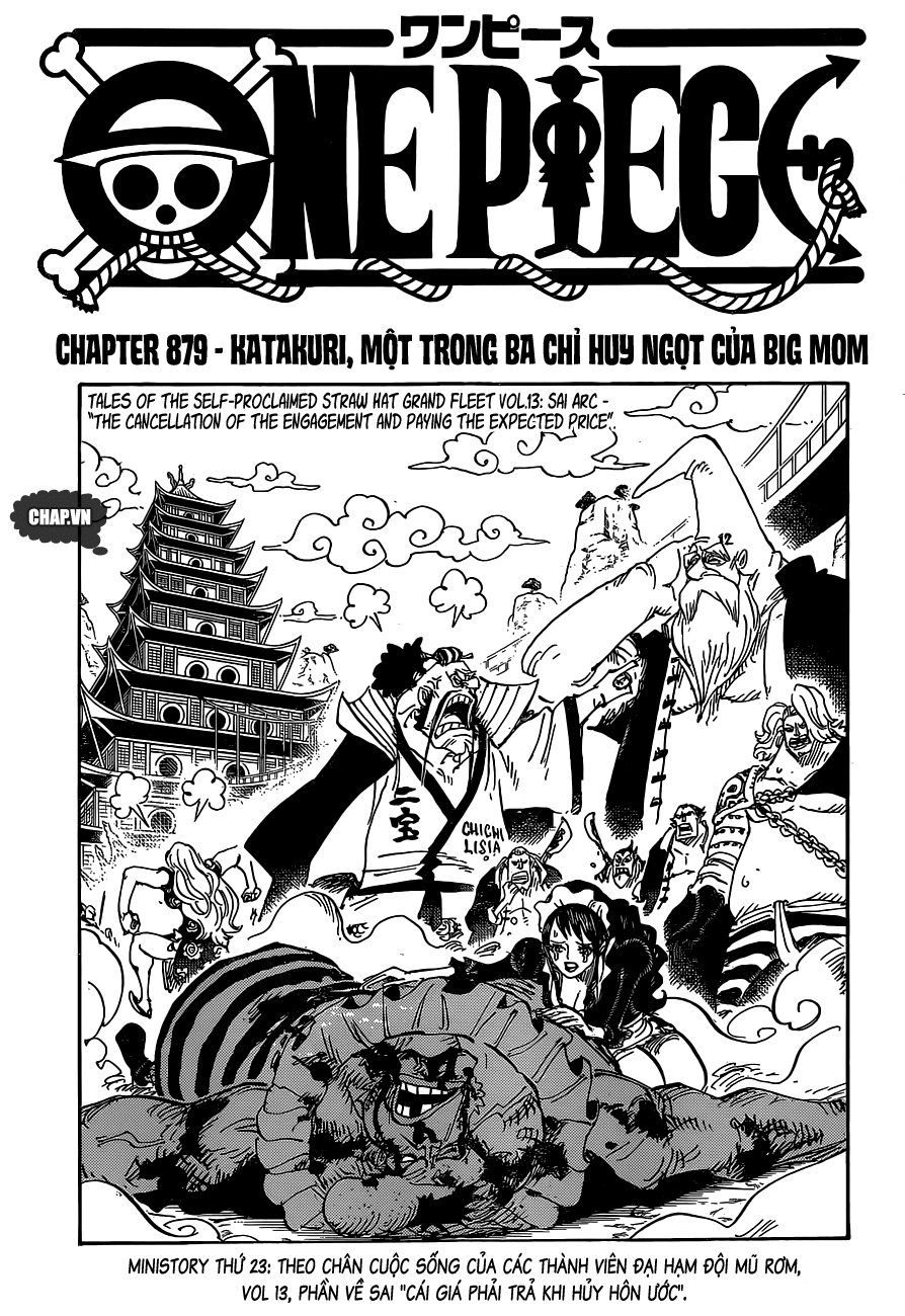 Chapter 879