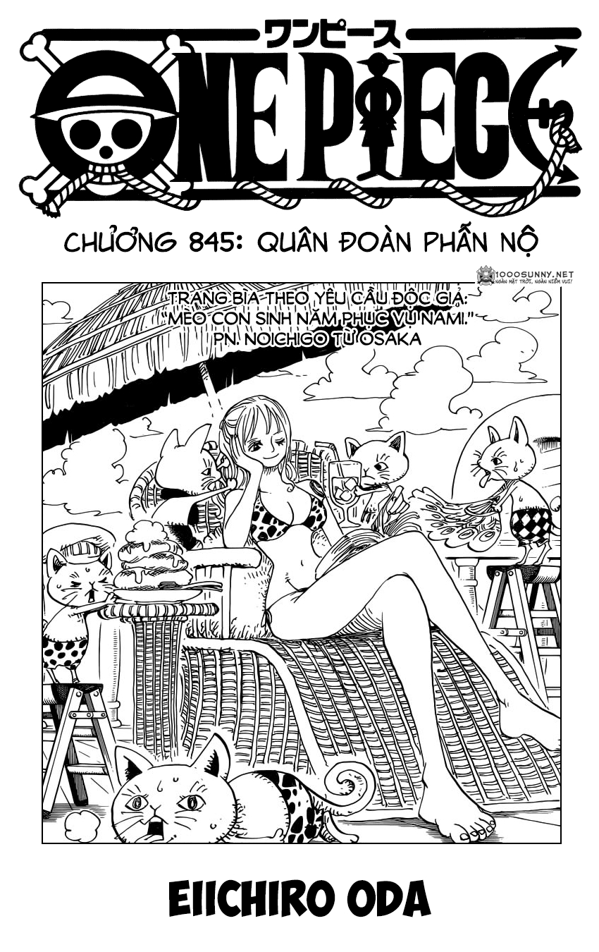 Chapter 845