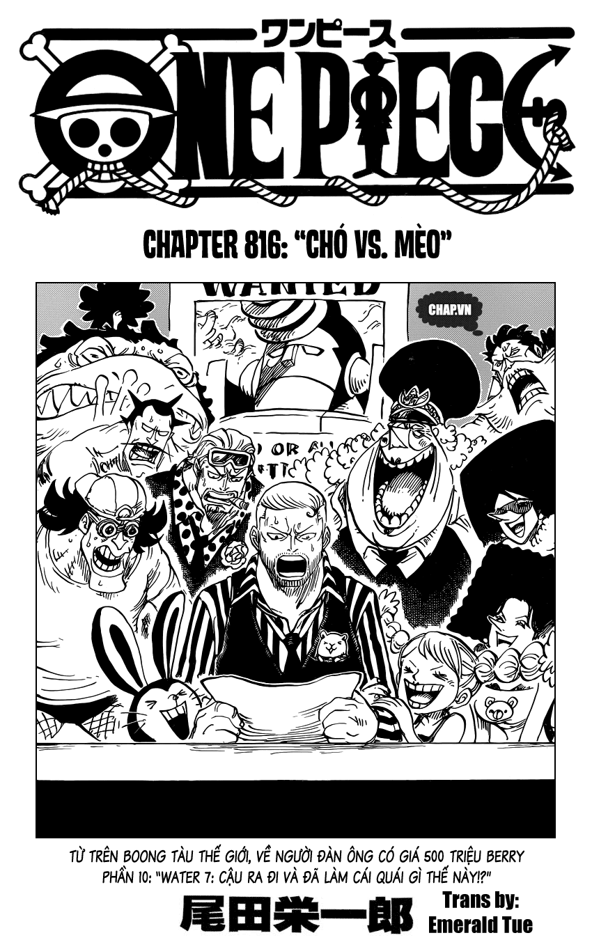 Chapter 816