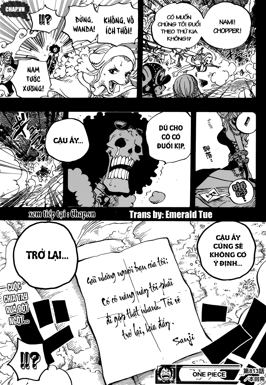 Chapter 813