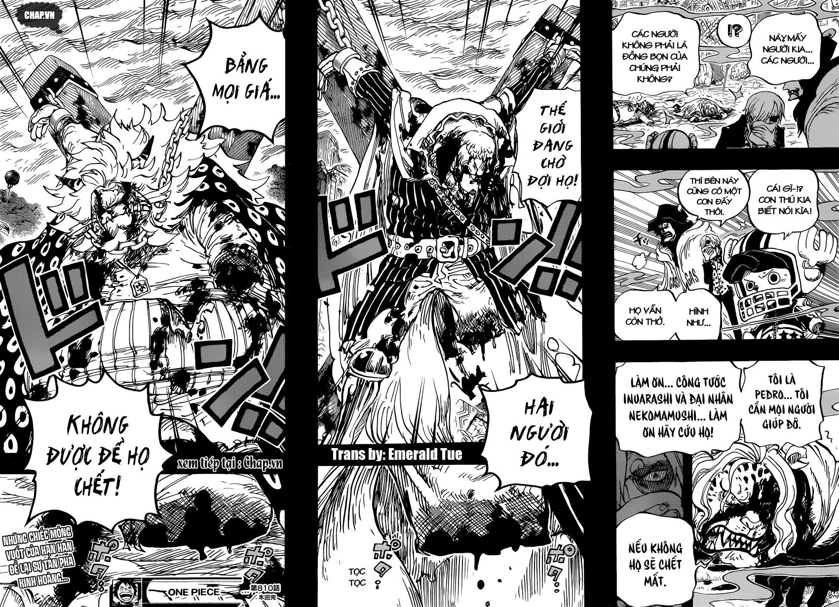 Chapter 810