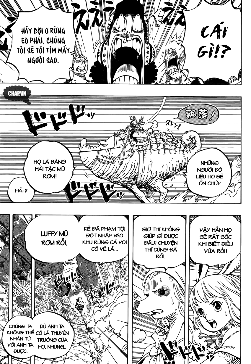 Chapter 805