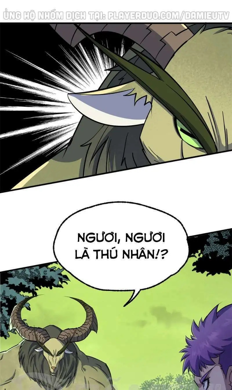 Chapter 244