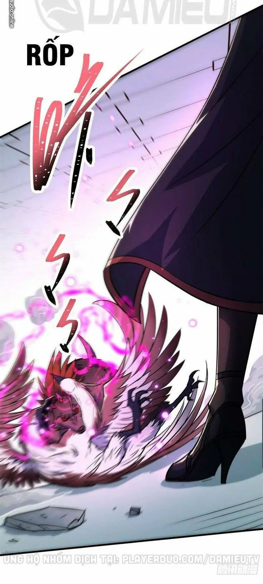Chapter 205