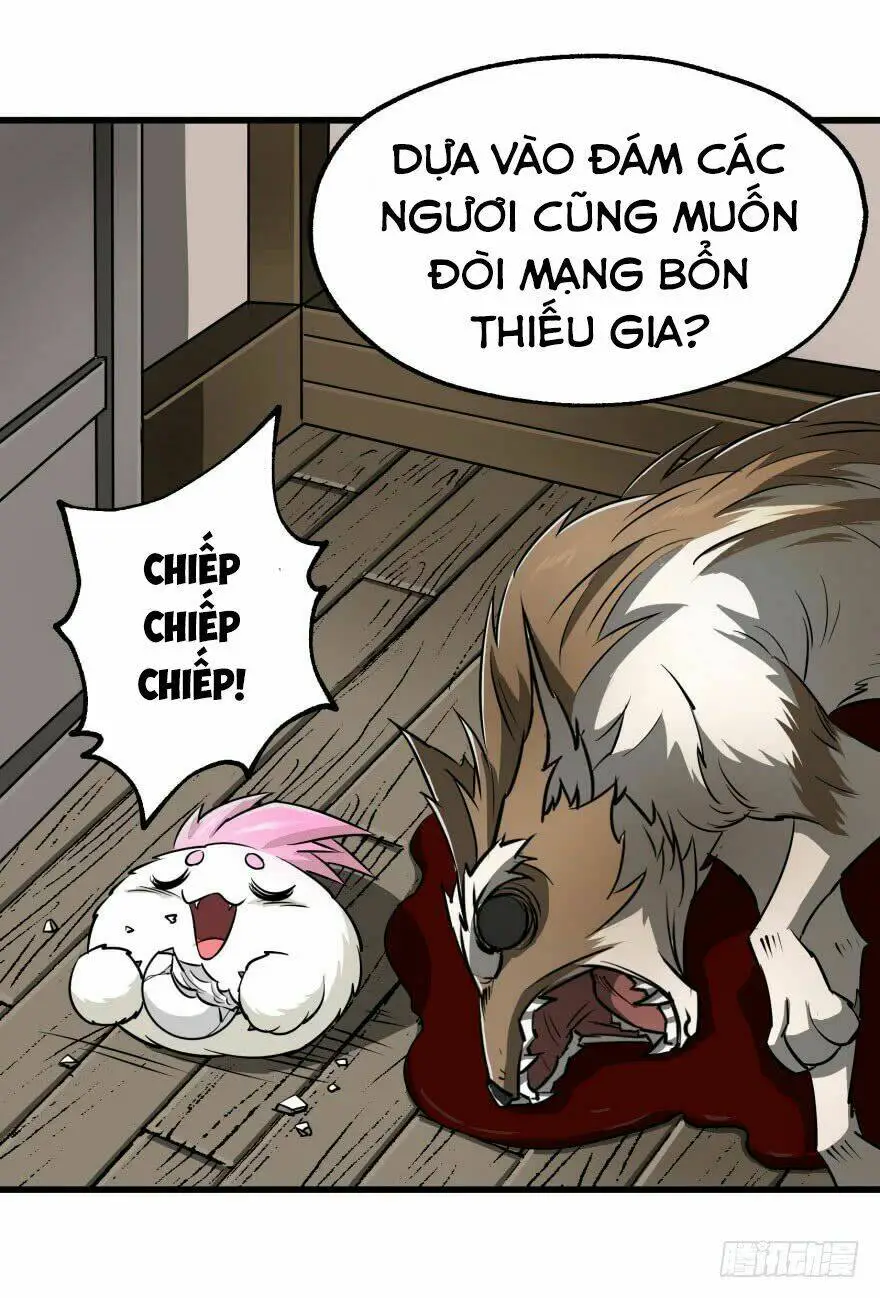 Chapter 25