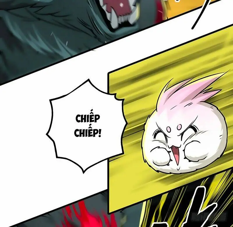 Chapter 13