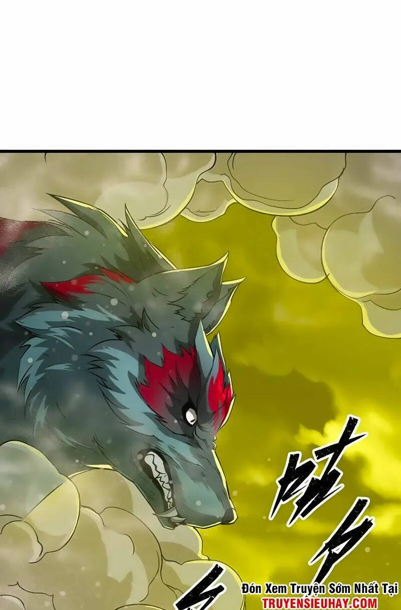 Chapter 13