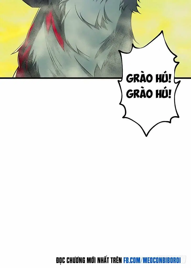 Chapter 13