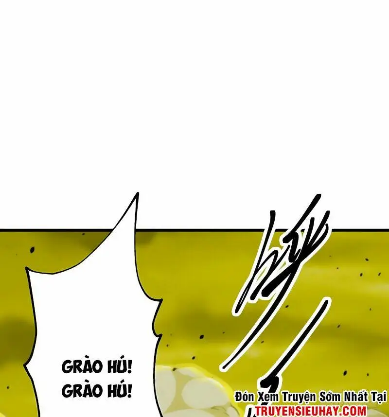 Chapter 13