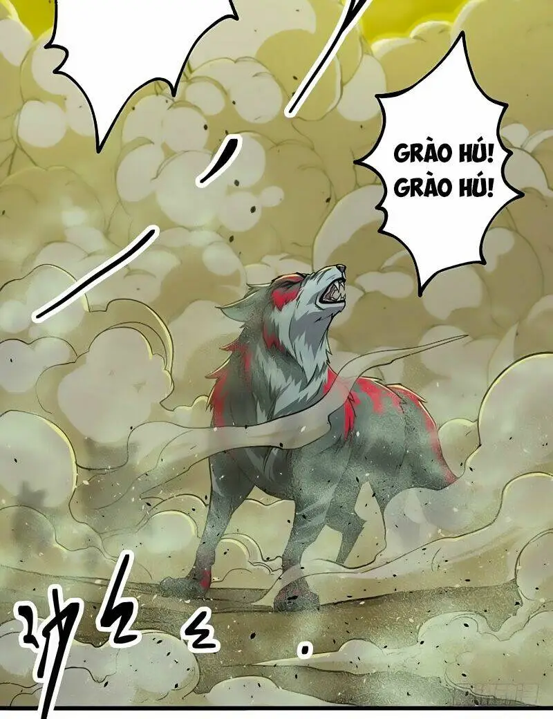 Chapter 13