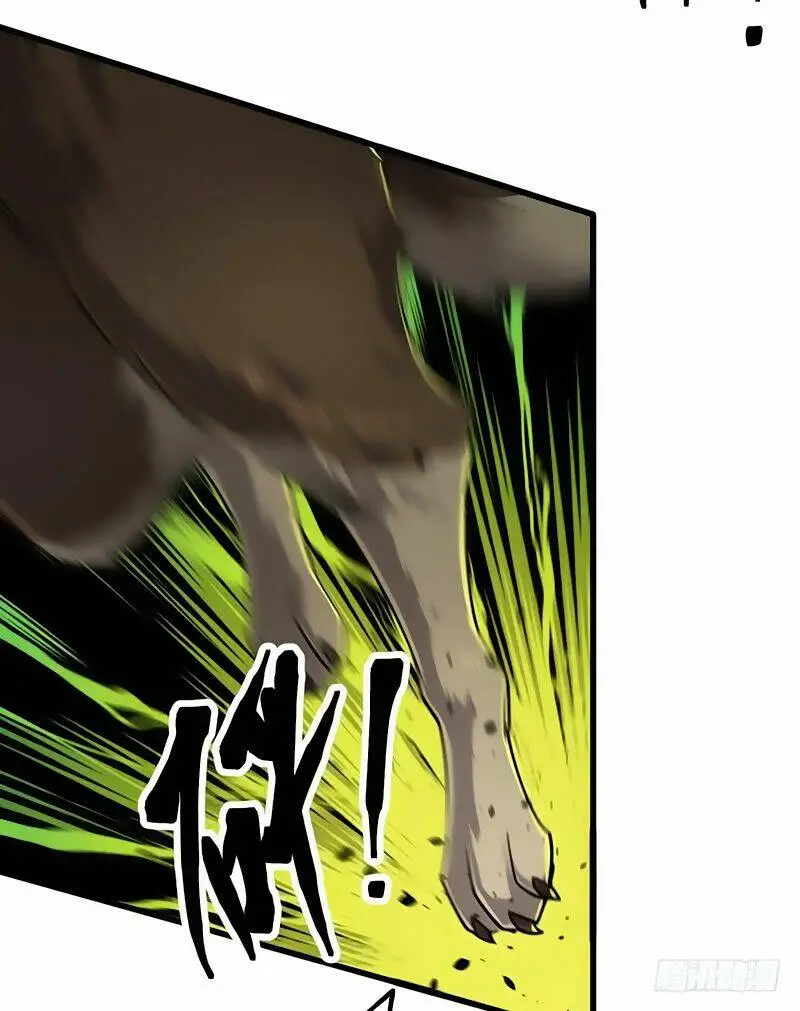 Chapter 13