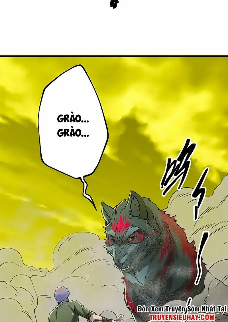 Chapter 13