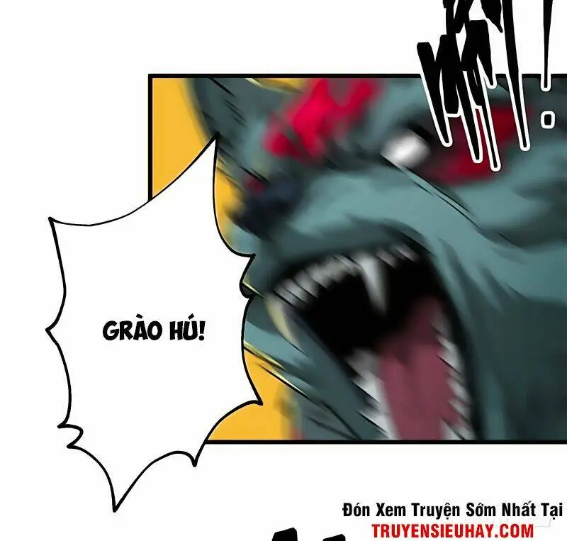 Chapter 13