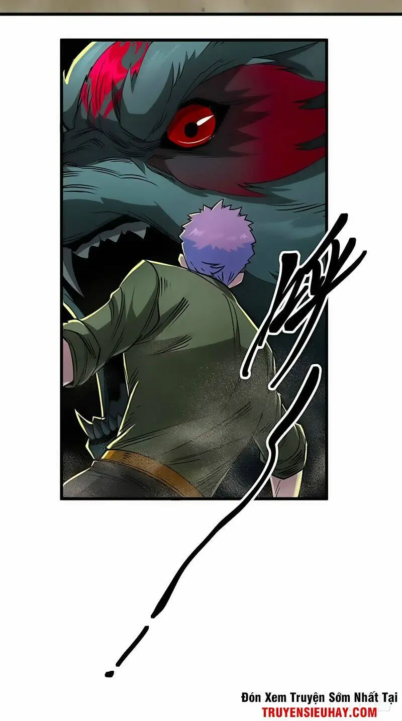Chapter 13