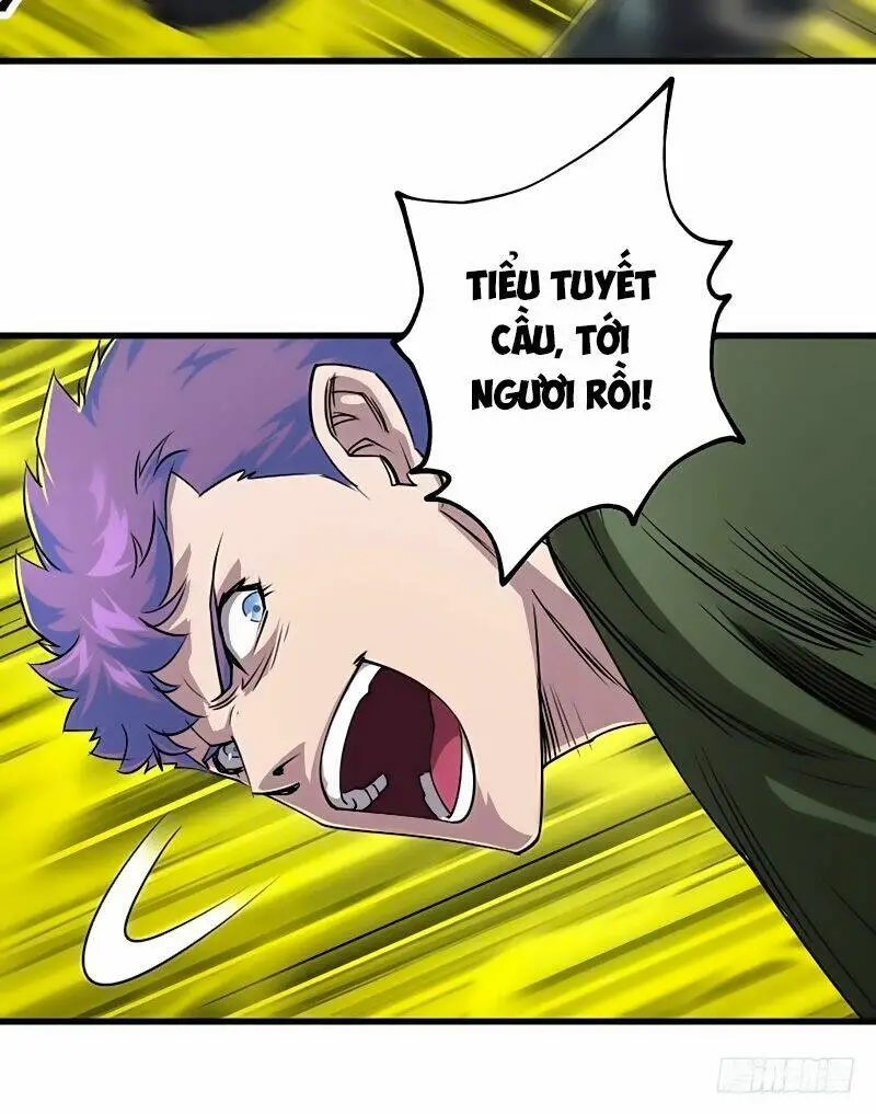 Chapter 13