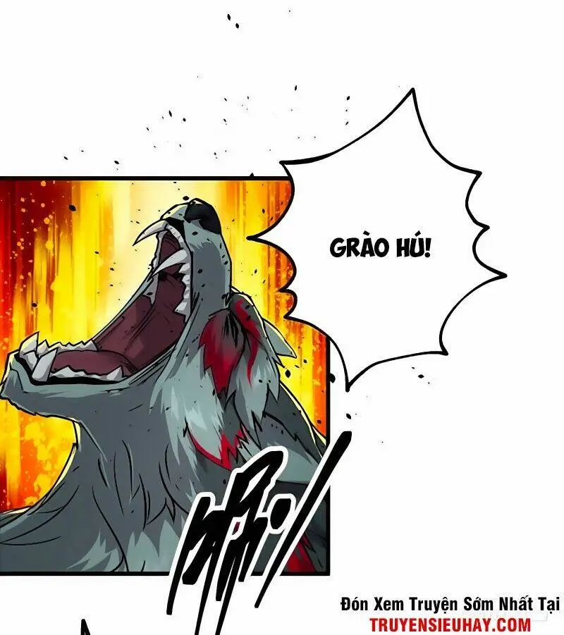 Chapter 13