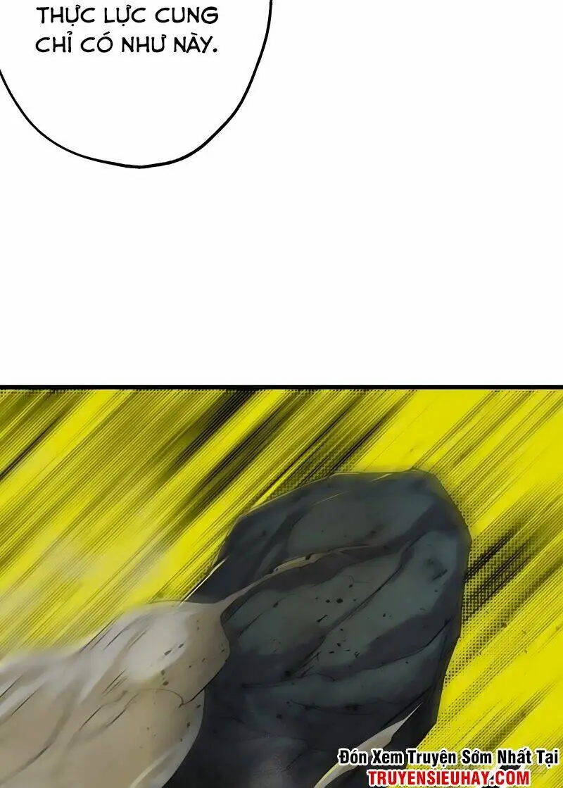 Chapter 13