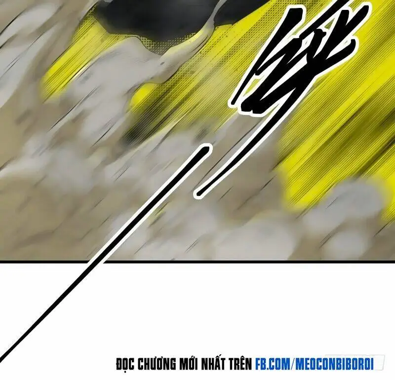 Chapter 13