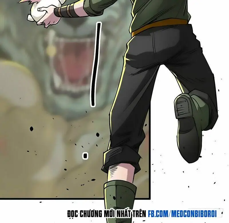 Chapter 13