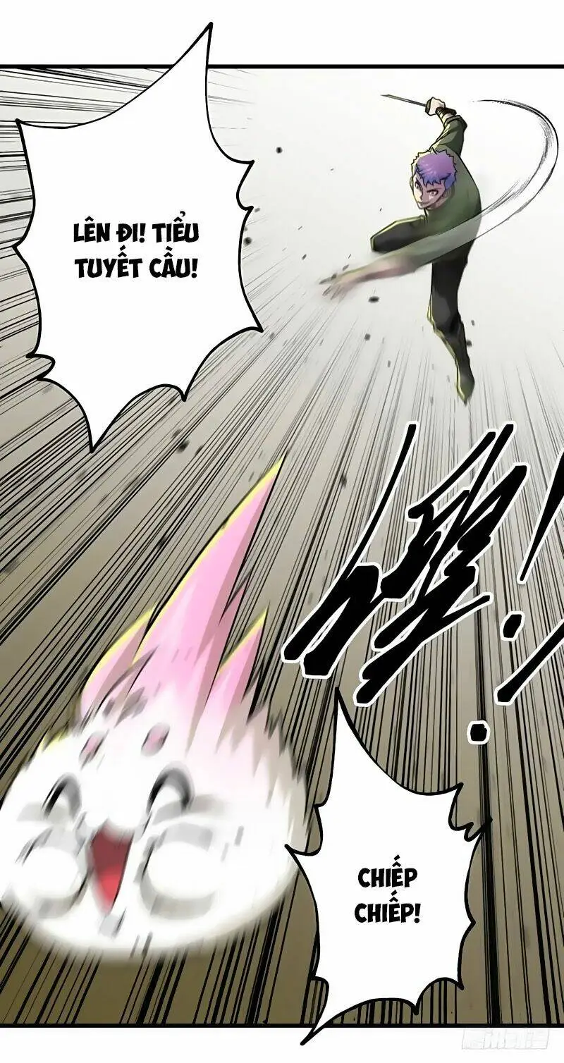 Chapter 13