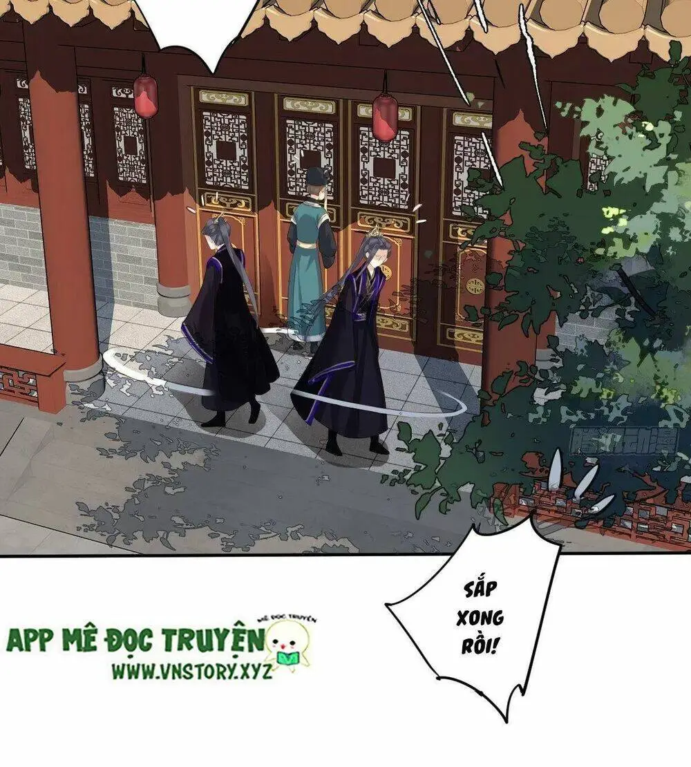 Chapter 294