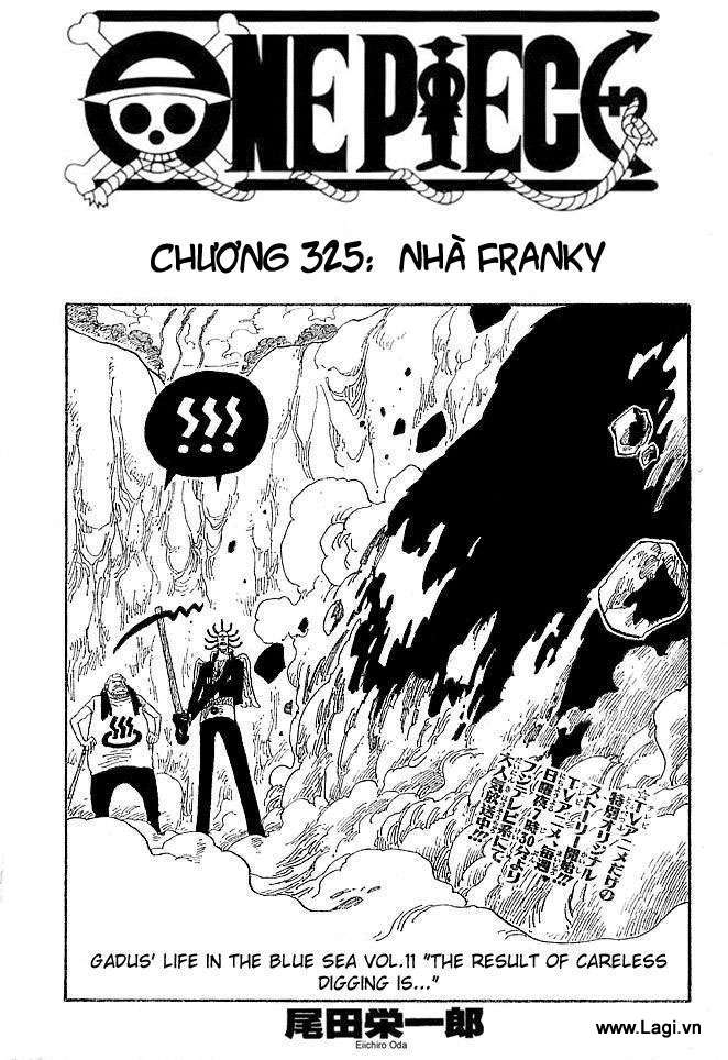 Chapter 325