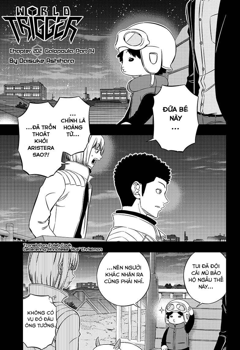 Chapter 202