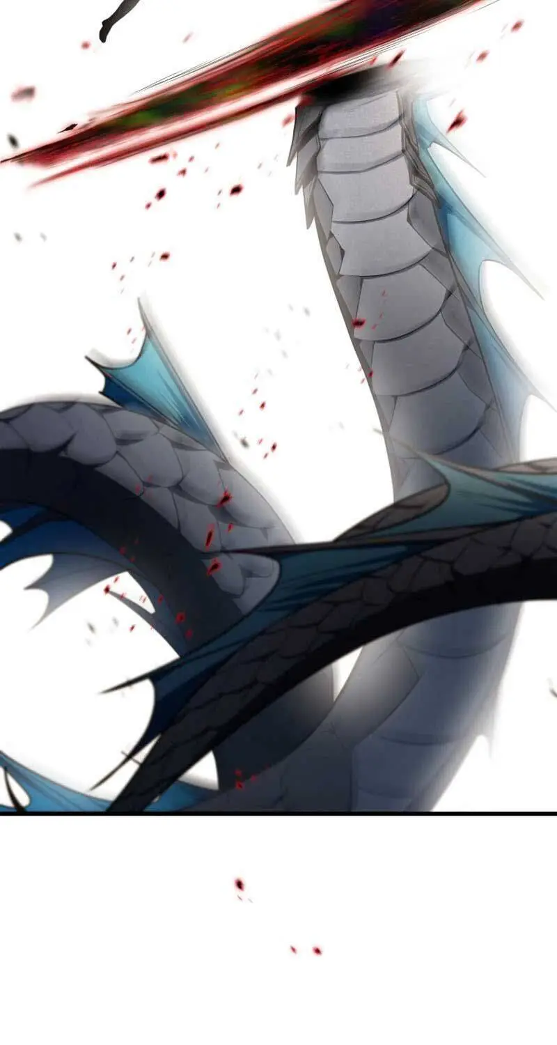 Chapter 166