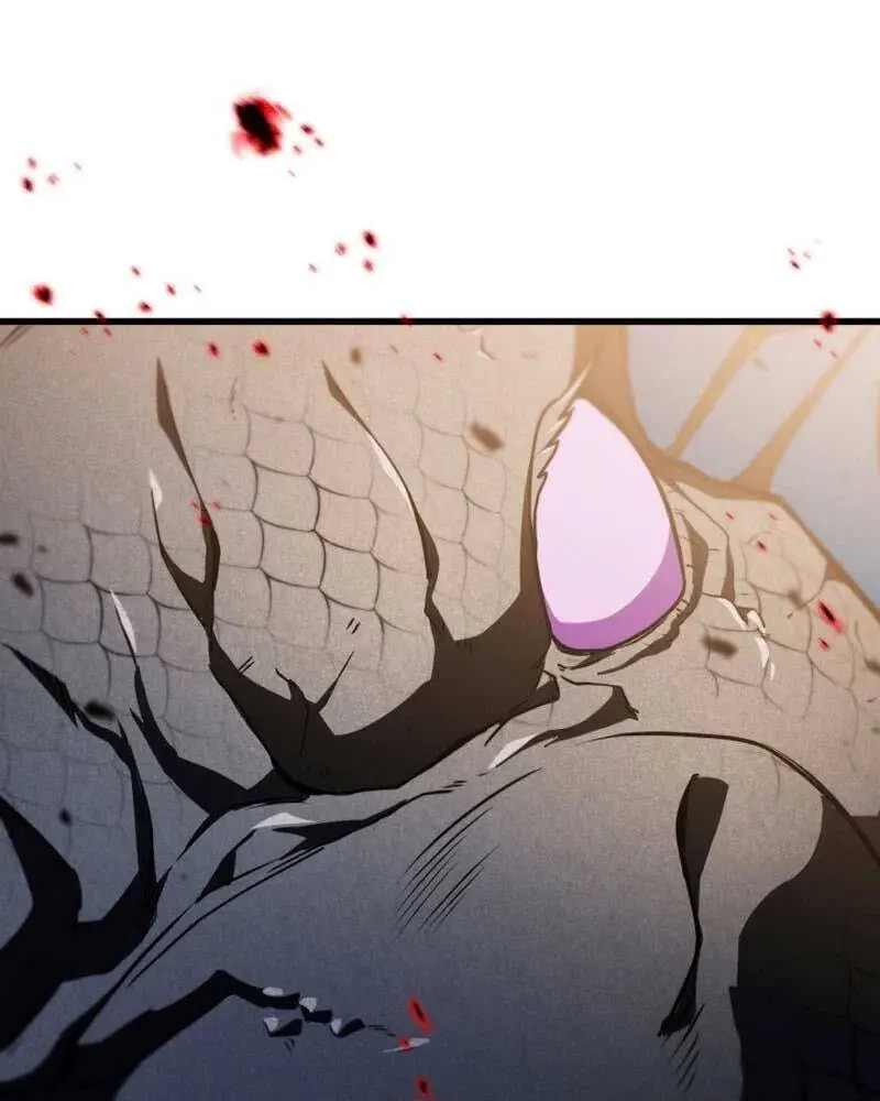 Chapter 166