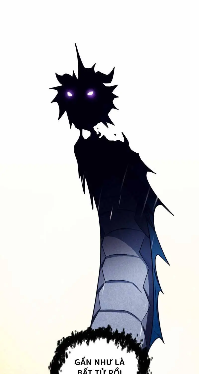 Chapter 166