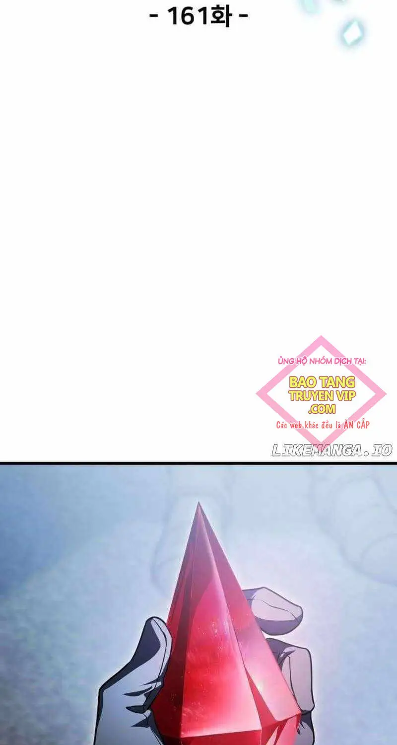 Chapter 161