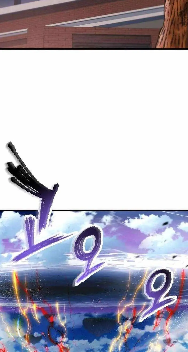 Chapter 161