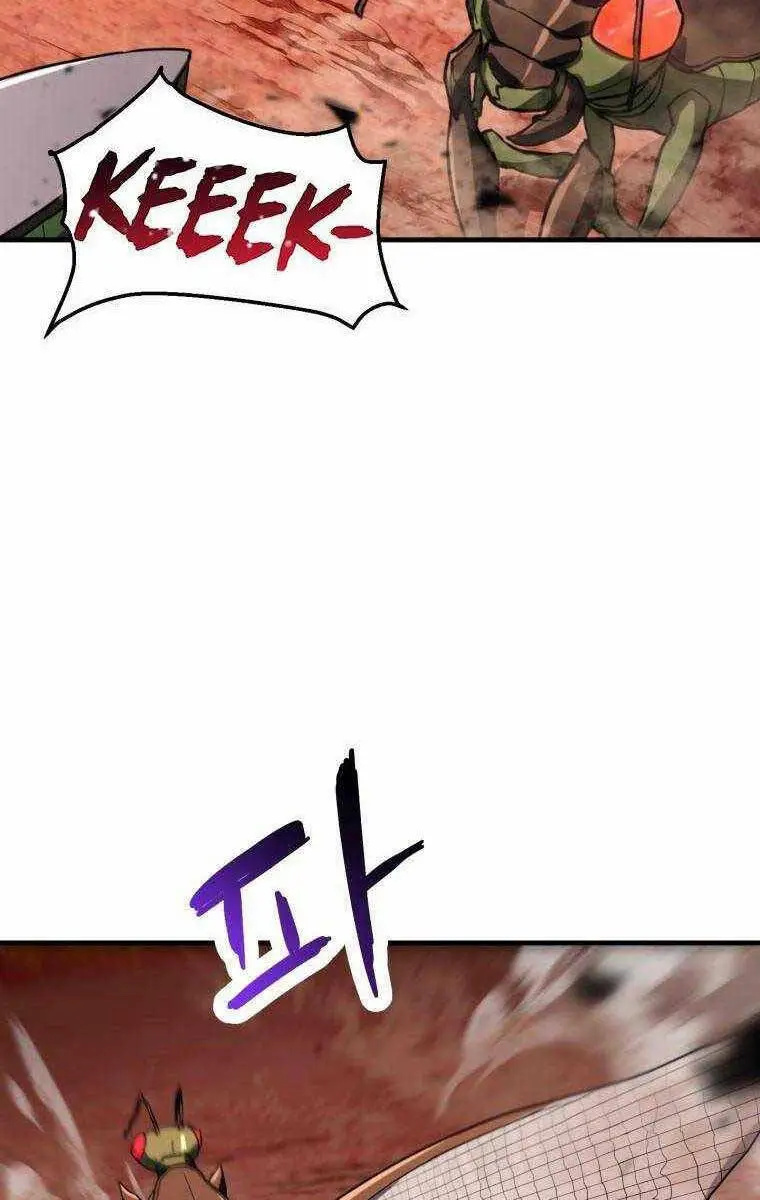 Chapter 104