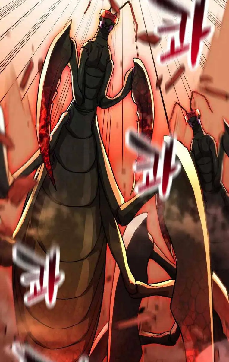 Chapter 102