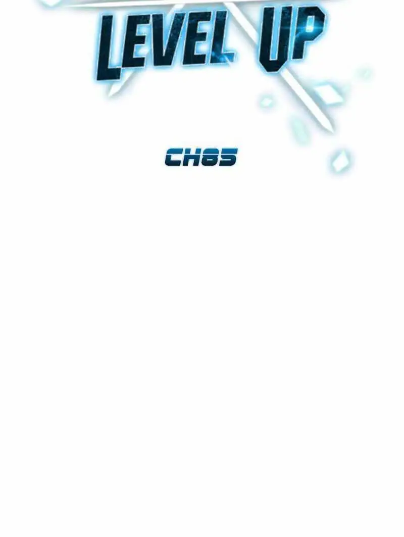 Chapter 85
